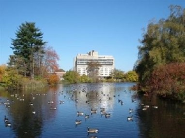 UMass Hotel At The Campus Center