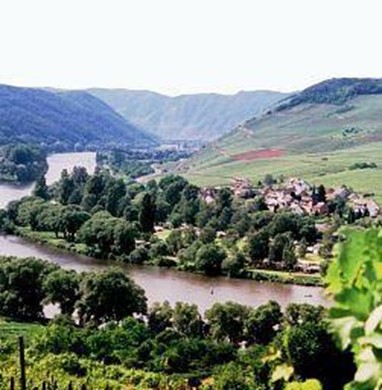 Pension Am Romerberg Nehren (Rhineland-Palatinate)