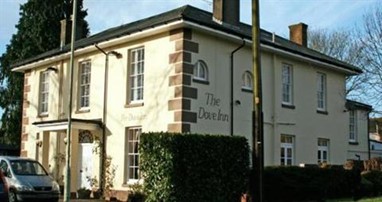The Dove Inn Winchester