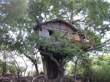 Marc's Treehouse Lodge