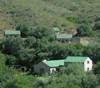 Baviaans Lodge