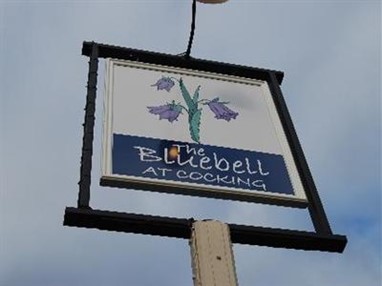 The Bluebell at Cocking