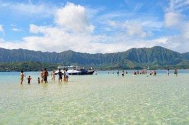 Paradise Bay Resort Hawaii