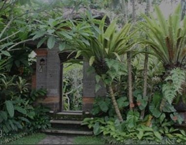 Alas Petulu Cottages Bali