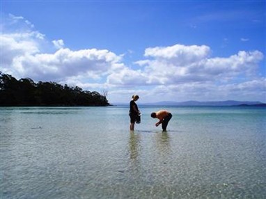 Bruny Island Escapes