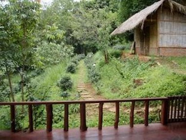 The Rainforest Retreat Hotel