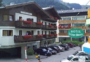 Hotel Gruener Baum