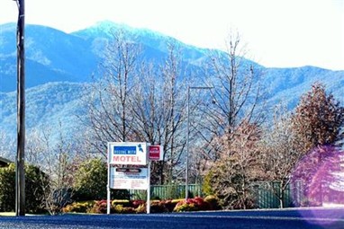 Bogong Moth Motel