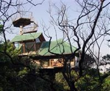 The Machan Tree House Lonavala