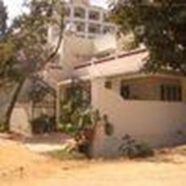 Olive Tree Service Apartments Bangalore