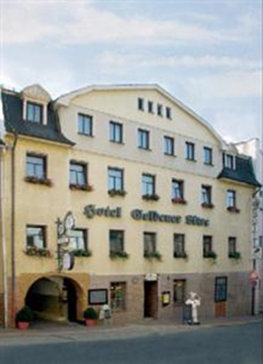 Hotel Goldener Lowe Zeulenroda