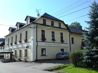 Penzion Borovnice