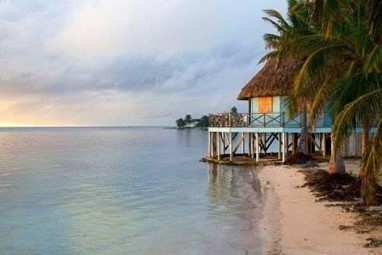 Blackbird Caye Resort