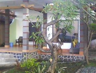 Hotel Tara Singaraja