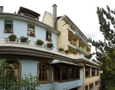 Hotel Du Parc Niederbronn-les-Bains