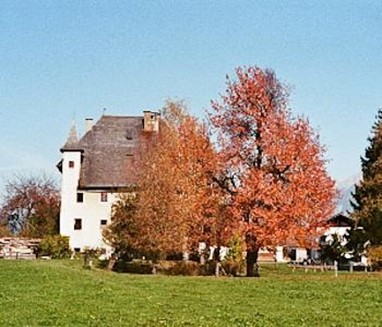 Castle Saalhof Apartments Maishofen