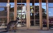 Kangaroo Island Wilderness Retreat