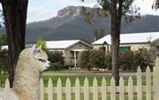 Starline Alpacas Farmstay Resort Broke