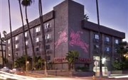 Shelter Hotels Los Angeles