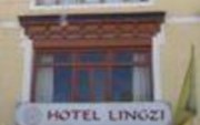 Hotel Lingzi Leh