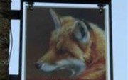 Fox at Farthinghoe