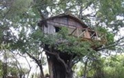Marc's Treehouse Lodge