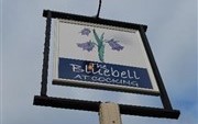 The Bluebell at Cocking