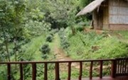 The Rainforest Retreat Hotel