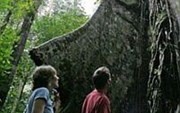 Rainforest Adventure Lodge