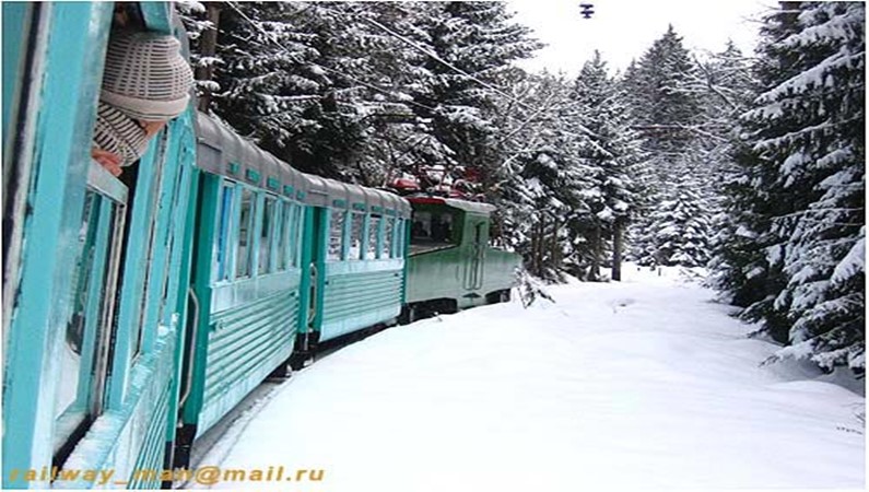 Узкоколейный поезд Боржоми – Бакуриани поднимается в горы