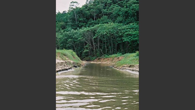 Малайзийское Борнео. Речушка после дождя