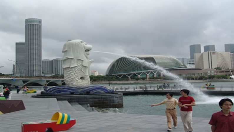 Морской лев на пристани Сингапура