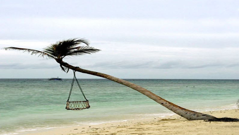 Добро пожаловать на остров Куреду, на логотипе которого и красуется эта самая пальма с этим гамаком, в котором так удобно лежать и читать книжки! :)