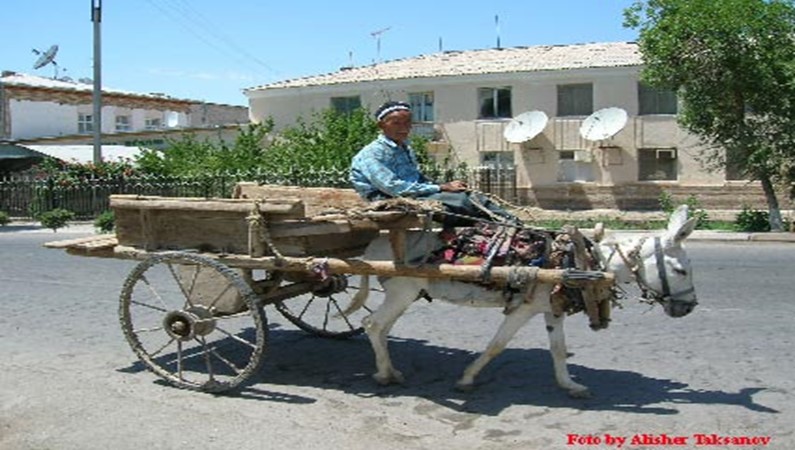 В Центральной Азии арба всегда была важным видом
транспорта. Время не изменило жизнь в Хиве: повозка и осел
используется и по сей день, просто вводятся новые технические детали,
например, резина на колесах.