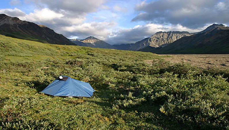 Палатка в тундре. Денали, Аляска