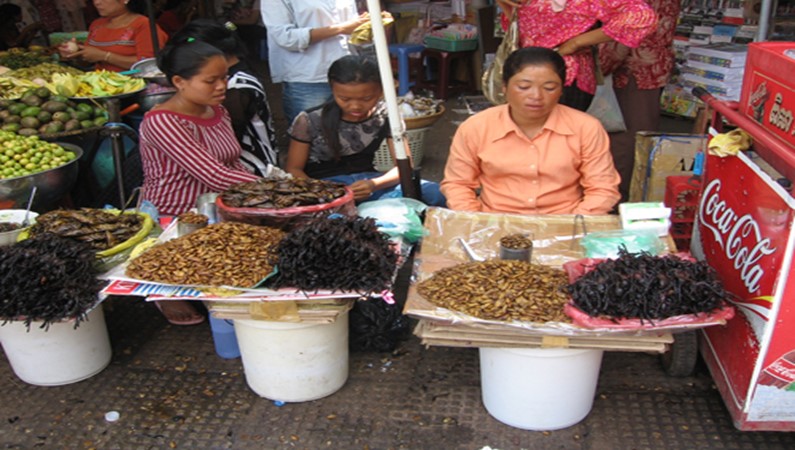Камбоджа. Пномпень. Рынок. Саранча, личинки...