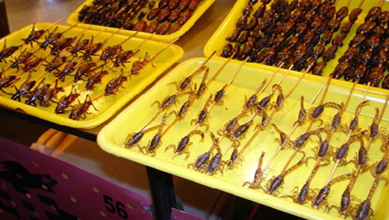 Условно-съедобная пища на ночном пищевом рынкею Бейджин.