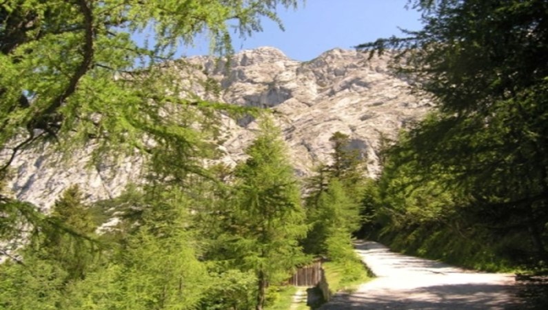 Дорога к Ледовой пещере, что недалеко от Зальцбурга.
