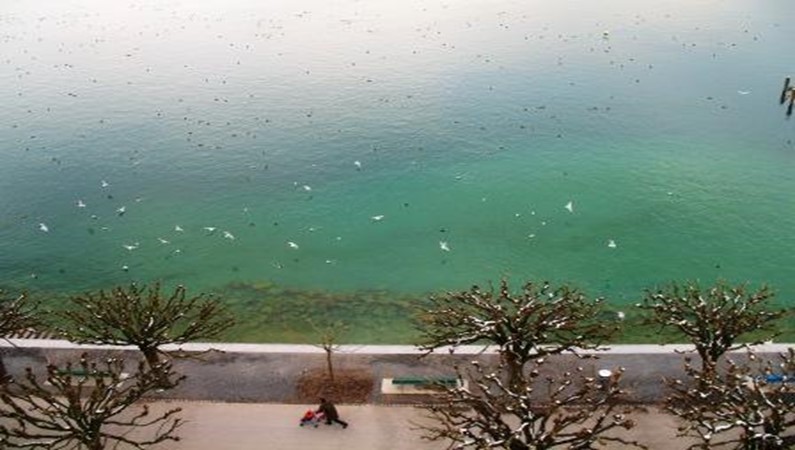 Прозрачность озера Люцерн