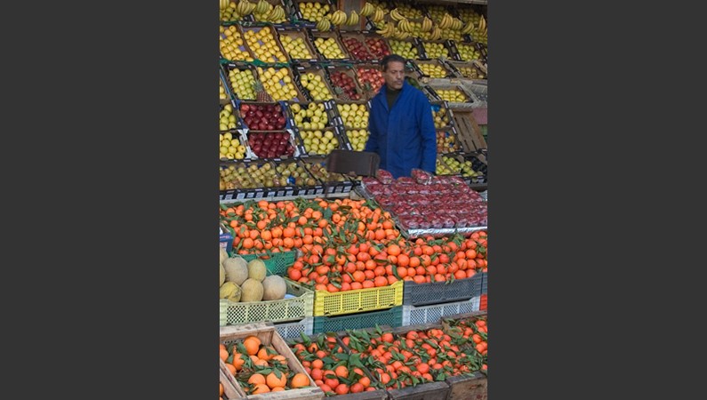 Рынок в Касабланке. Мандарины, апельсины недорого!
