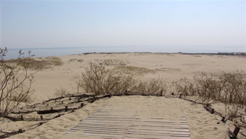 Дюны в Ниде