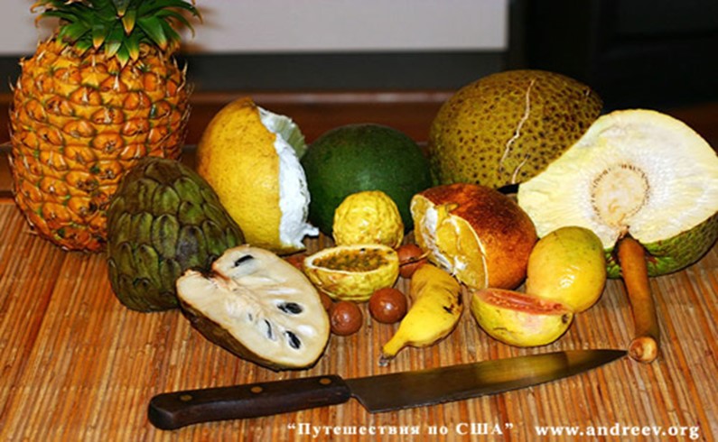 Местные гавайские дикие фрукты: ананас, памело, авокадо, плод хлебного дерева, черемойя, 
маракуйя (passion fruit), орехи макадамия, клубничный банан, 
гавайский апельсин (ugly orange), гуава.
Остров Мауи, Гавайи.