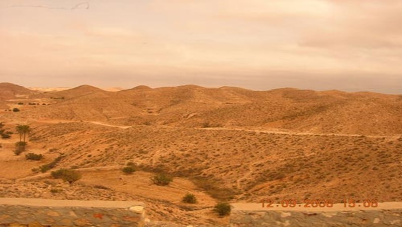 Вот она - каменистая пустыня Сахара
