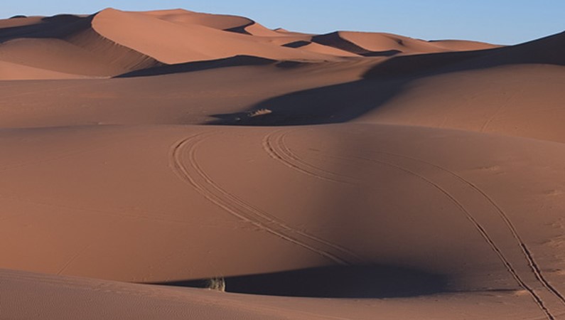То, что мы привыкли представлять себе при слове «пустыня» - желтые дюны до горизонта с редими кустиками сухой жесткой травы