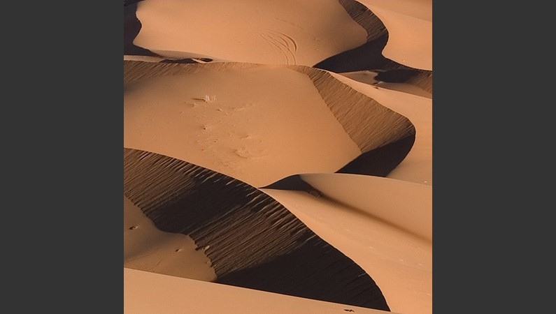 Песчаные волны. Удивительно, какой острой остается граница между наветренной и подветренной стороной дюны