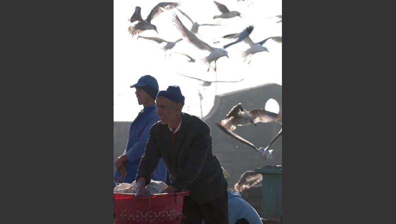 Эссуэйра. Рыбный рынок у крепостных бастионов.