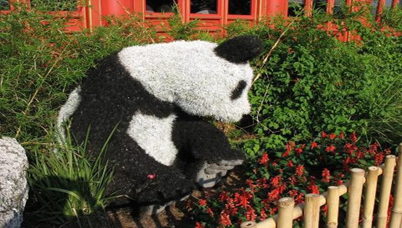 Панда, сделанный из кустов, в Disney World.
