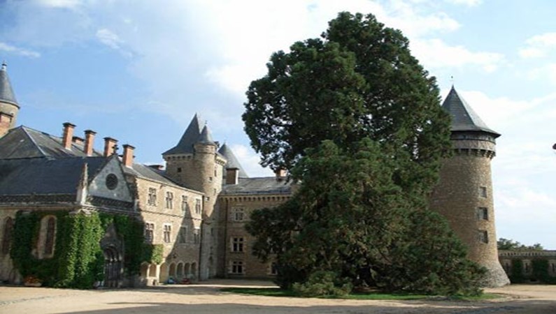 Замок Бюссе