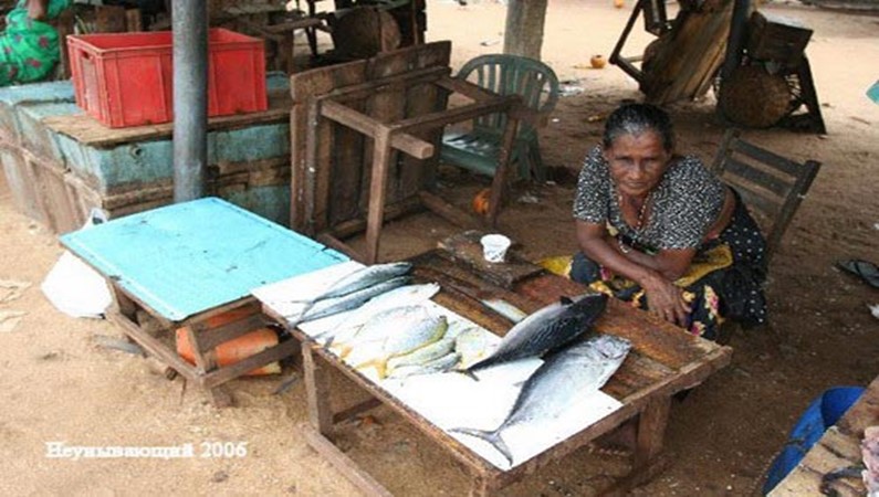 Негомбо. На рыбном рынке