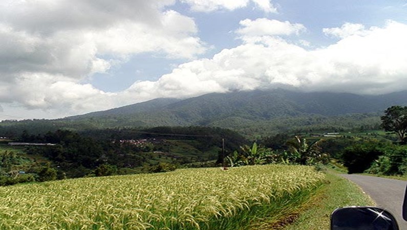 Рисовые террасы в районе Попуана.На заднем плане - вторая по высоте вершина Бали Батукару